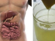 Zbavte své tělo toxinů a dopřejte mu jarní očistnou kúru! Za 72 hodin dokážete eliminovat až 5 litrů různých škodlivin!