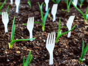 Vidličky napíchané v zemi? Tato blbost hodná výsměchu se následně ukázala jako naprosto geniální věc