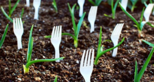 Vidličky napíchané v zemi? Tato blbost hodná výsměchu se následně ukázala jako naprosto geniální věc