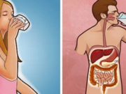 Začněte svůj den sklenicí teplé vody – své tělo brzy nepoznáte! Budete zdraví, budete krásní a zapomenete na jakoukoliv bolest