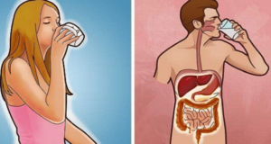Začněte svůj den sklenicí teplé vody – své tělo brzy nepoznáte! Budete zdraví, budete krásní a zapomenete na jakoukoliv bolest