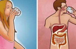 Začněte svůj den sklenicí teplé vody – své tělo brzy nepoznáte! Budete zdraví, budete krásní a zapomenete na jakoukoliv bolest