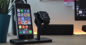 Jak cestovat se psem: Průvodce pro majitele čtyřnohých společníků