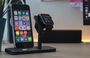 Jak cestovat se psem: Průvodce pro majitele čtyřnohých společníků