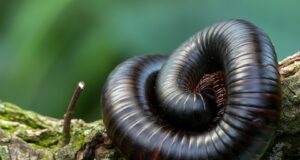 10 chutných receptů pro vaření doma