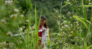 Bojová umění v moderní době: Trendy, soutěže a možnosti pro rozvoj