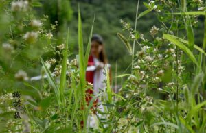 Bojová umění v moderní době: Trendy, soutěže a možnosti pro rozvoj