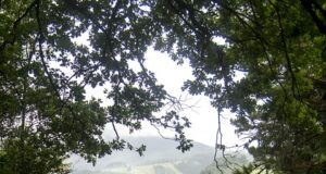 Jak cestovat levně a stále si užít luxus