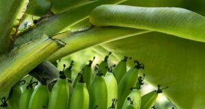 Top recepty pro dechberoucí dezerty a sladké dobroty