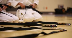 Cesta k mistrovství: Historie a techniky karate