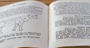 Zdravé a chutné recepty s avokádem