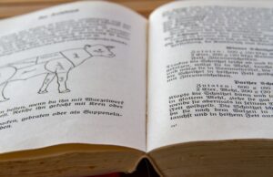 Zdravé a chutné recepty s avokádem