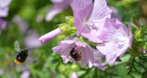 Bojová umění jako forma sebeobrany: Jak získat důvěru a sílu