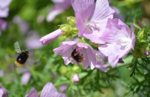 Bojová umění jako forma sebeobrany: Jak získat důvěru a sílu