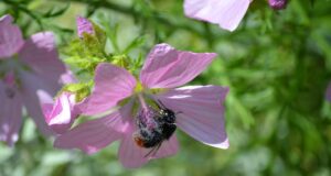 Základy bojových umění: Jak se bránit v nebezpečné situaci