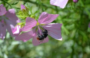 Základy bojových umění: Jak se bránit v nebezpečné situaci