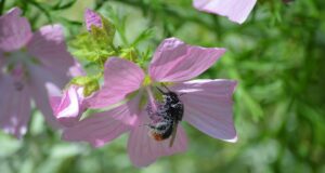 6 nejefektivnějších bojových stylů pro sebeobranu