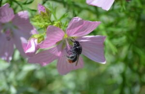 6 nejefektivnějších bojových stylů pro sebeobranu
