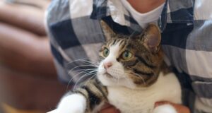 Technické vychytávky pro každodenní použití: Jak si usnadnit život