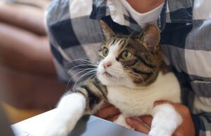 Technické vychytávky pro každodenní použití: Jak si usnadnit život