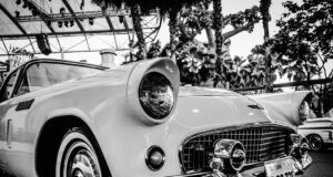 – Jak si vybrat správné pneumatiky pro vaše auto