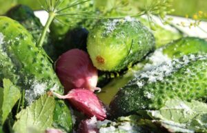 Nejlepší recepty na rychlé a zdravé jídlo