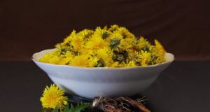 Kreativní a originální recepty pro gurmánské požitky doma