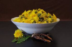 Kreativní a originální recepty pro gurmánské požitky doma