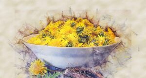 Tradiční české recepty na oblíbená pokrmy pro každou příležitost