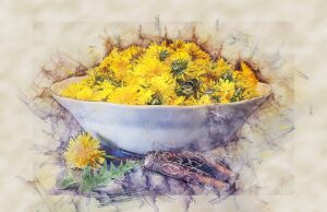 Tradiční české recepty na oblíbená pokrmy pro každou příležitost