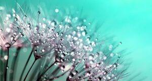 Přehled nejnovějších trendů v oblasti krásy a péče o pleť