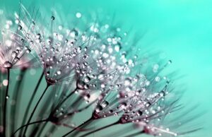 Přehled nejnovějších trendů v oblasti krásy a péče o pleť