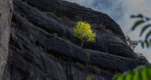 Bramborová pochoutka: Tradiční český recept na bramboráky