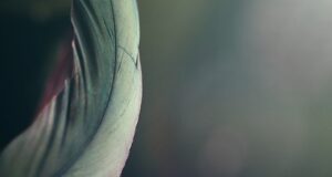 Krása zevnitř ven: Jak správná strava může ovlivnit vaši pokožku a náladu