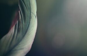 Krása zevnitř ven: Jak správná strava může ovlivnit vaši pokožku a náladu