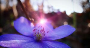 Kreativita a inovace: Jak přeměnit nápady na skutečnost