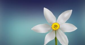 Zdravé stravovací návyky pro krásnou pokožku