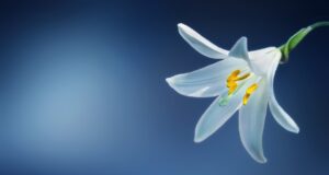 5 tipů pro zvýraznění přirozené krásy