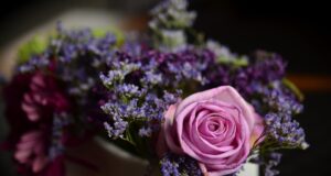 Krása zevnitř ven: Jak správná strava ovlivňuje vaši pokožku a vlasy