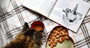 10 osvědčených receptů pro rychlé a chutné pokrmy