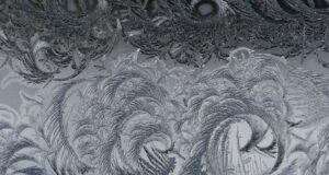 Cesta k mistrovství: Historie a vývoj bojových umění