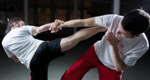 Kultura bojových umění: Základy a tréninkové metody