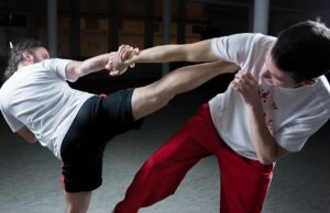 Kultura bojových umění: Základy a tréninkové metody