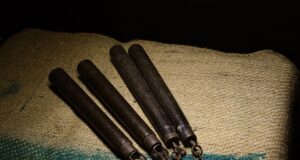 – Cesta boje: Historie bojových umění a jejich vývoj