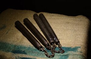 – Cesta boje: Historie bojových umění a jejich vývoj