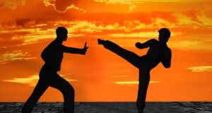 Bojová umění: historie, filozofie a techniky