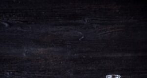 Recepty na tradiční české pokrmy s moderním twistem