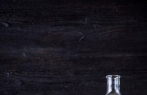 Recepty na tradiční české pokrmy s moderním twistem