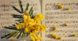 Krása zevnitř ven: Jak pečovat o svou pokožku a tělo