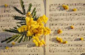 Krása zevnitř ven: Jak pečovat o svou pokožku a tělo